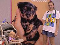 That's A Puppy...