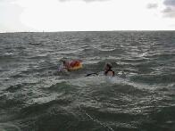 Swiming With The Dolphins...