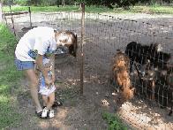 Scared,? But They Are Smaller Than You...