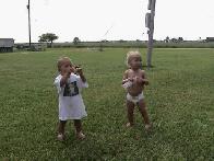 Where Did That Kite Go?